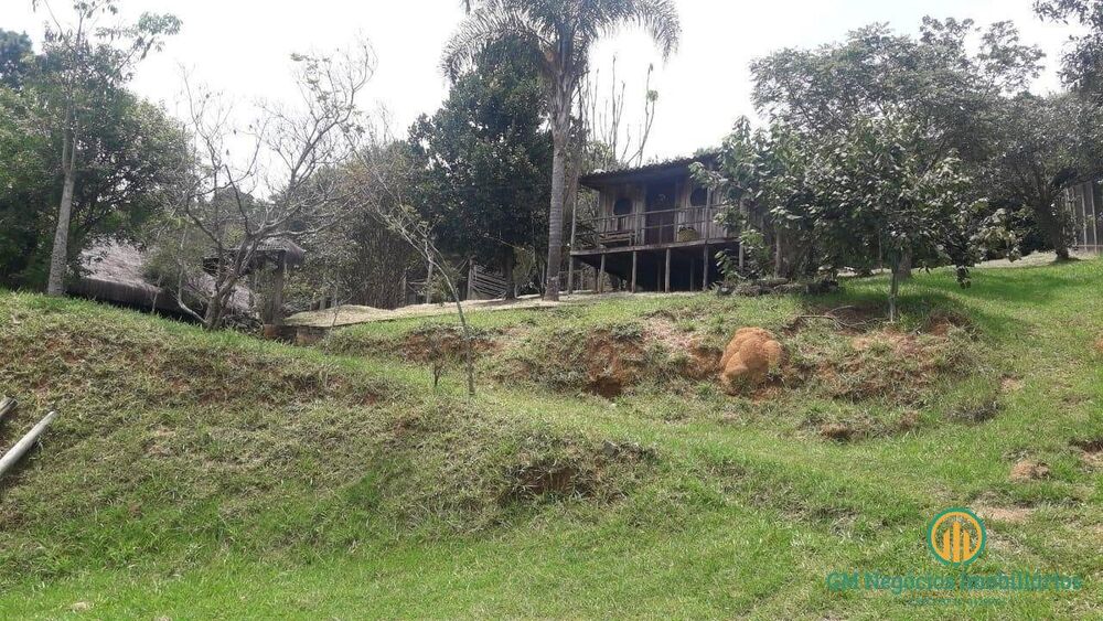 Terreno, 3 hectares - Foto 5