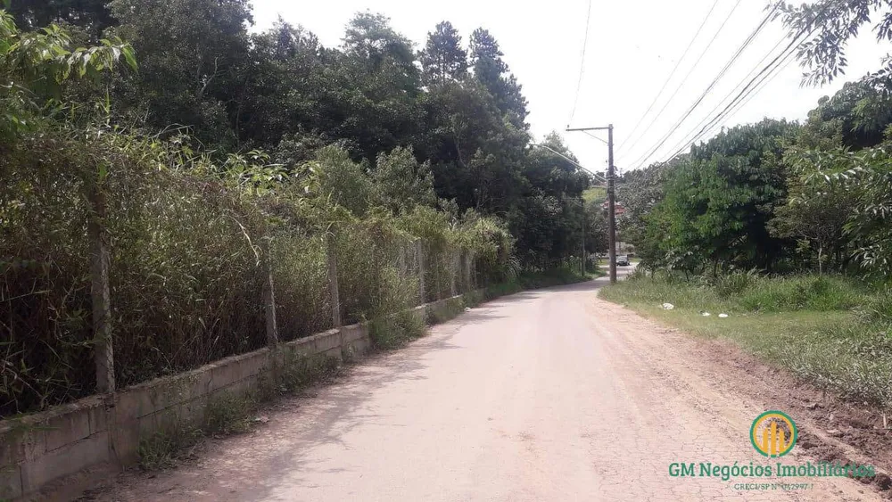 Terreno, 3 hectares - Foto 3