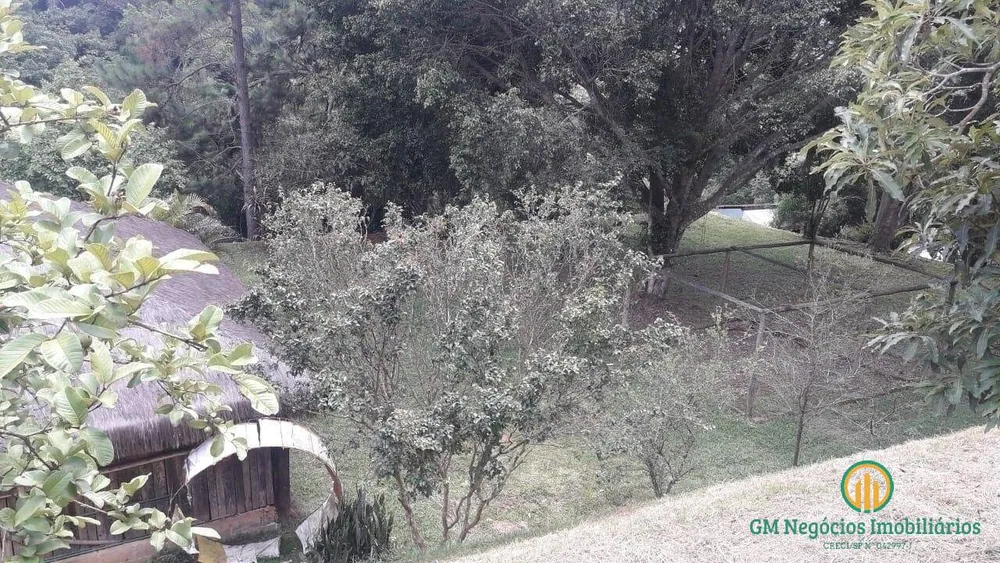 Terreno, 3 hectares - Foto 12