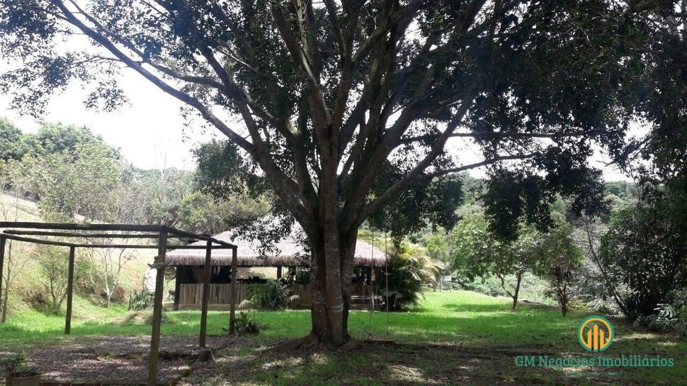 Terreno, 3 hectares - Foto 2