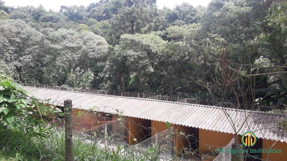 Terreno, 3 hectares - Foto 8