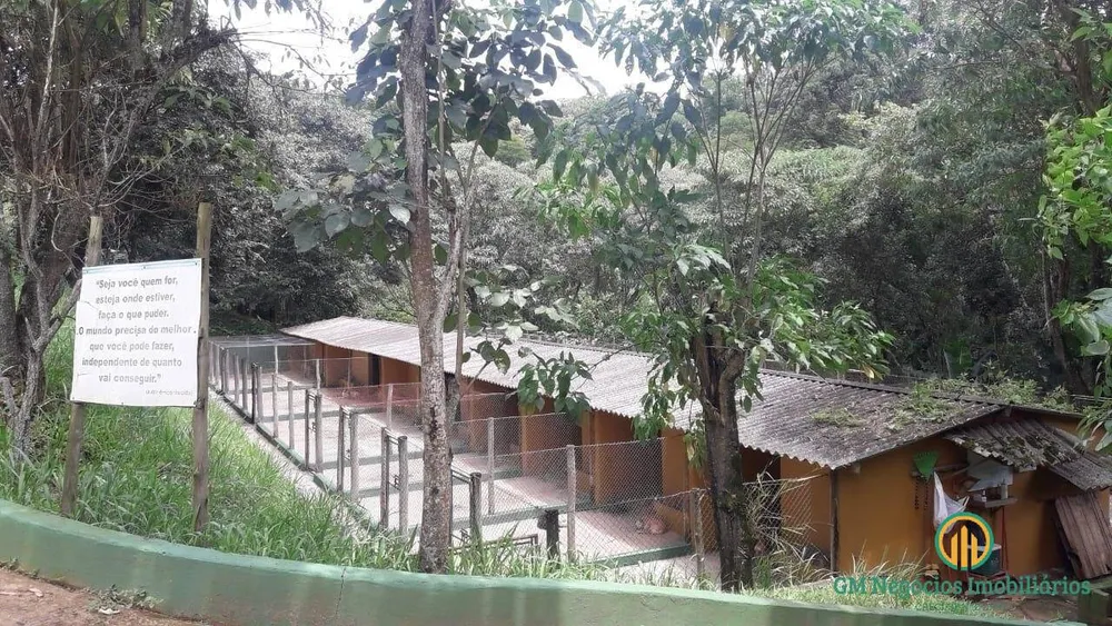 Terreno, 3 hectares - Foto 6