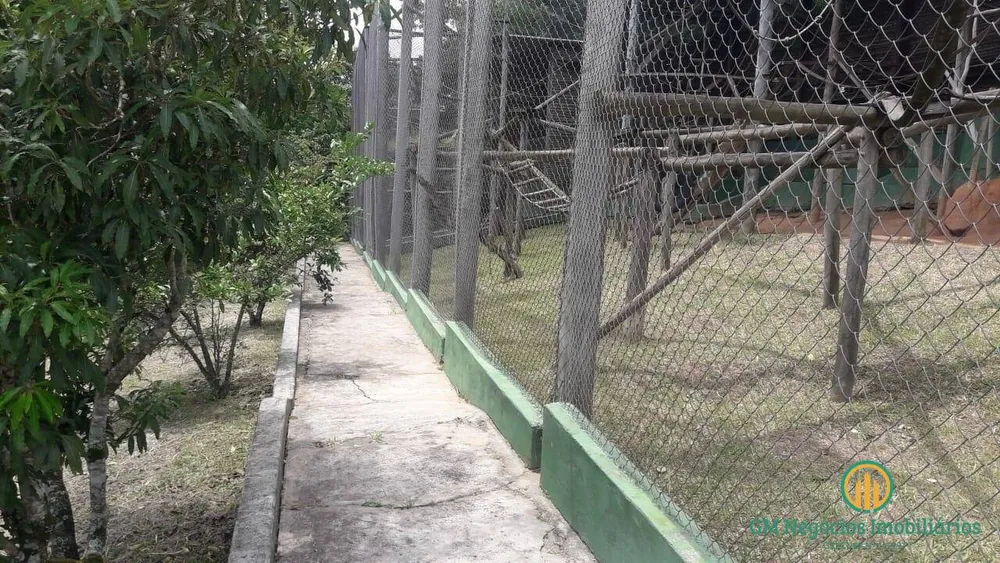 Terreno, 3 hectares - Foto 13
