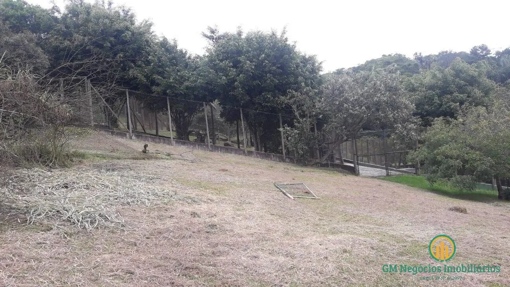 Terreno, 3 hectares - Foto 11