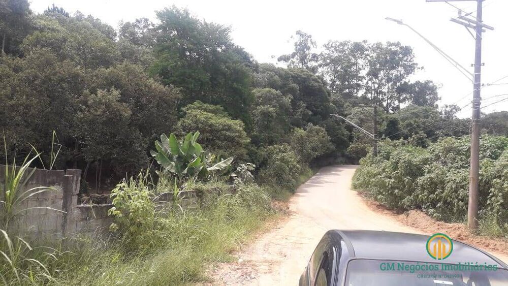Terreno, 3 hectares - Foto 6