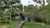 Terreno, 1 hectares - Foto 3