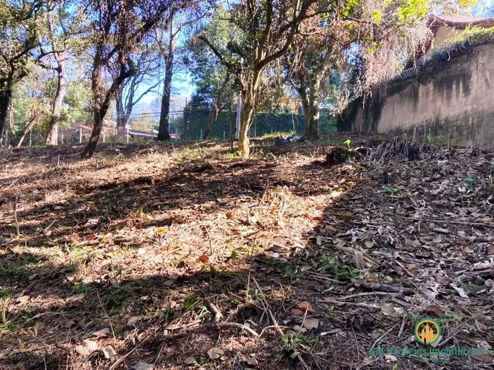 Terreno, 2334 m² - Foto 6