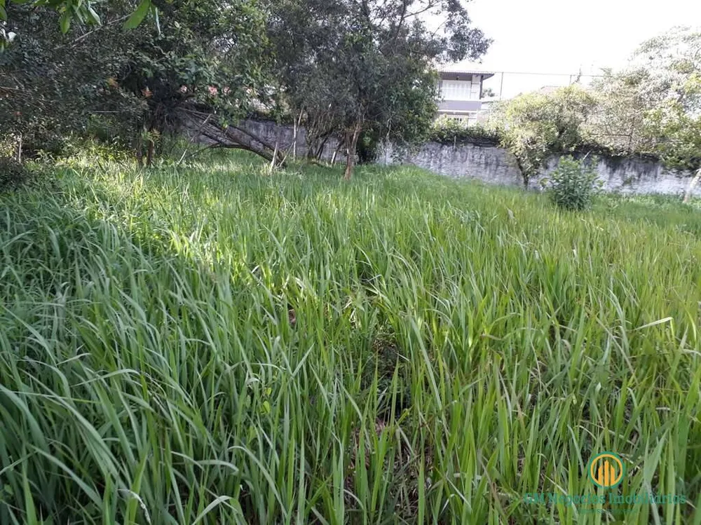Terreno, 1483 m² - Foto 9