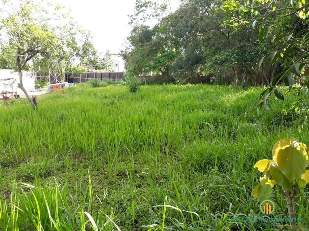Terreno, 1483 m² - Foto 1