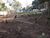 Terreno, 1000 m² - Foto 3