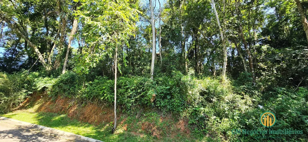 Terreno, 1549 m² - Foto 2