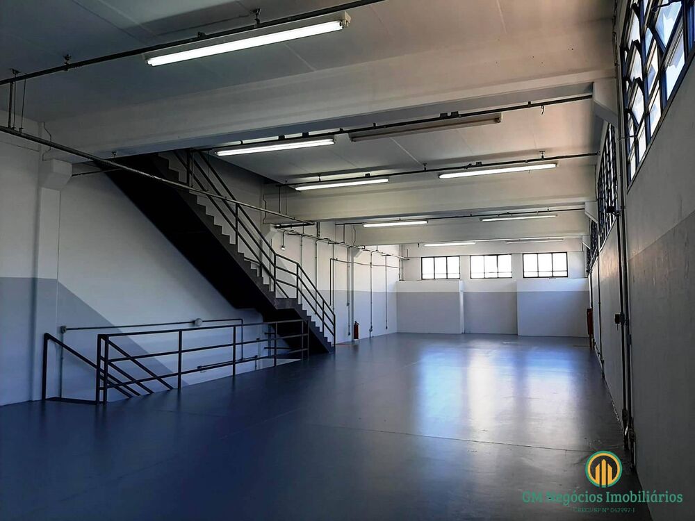 Sala-Conjunto, 1403 m² - Foto 3