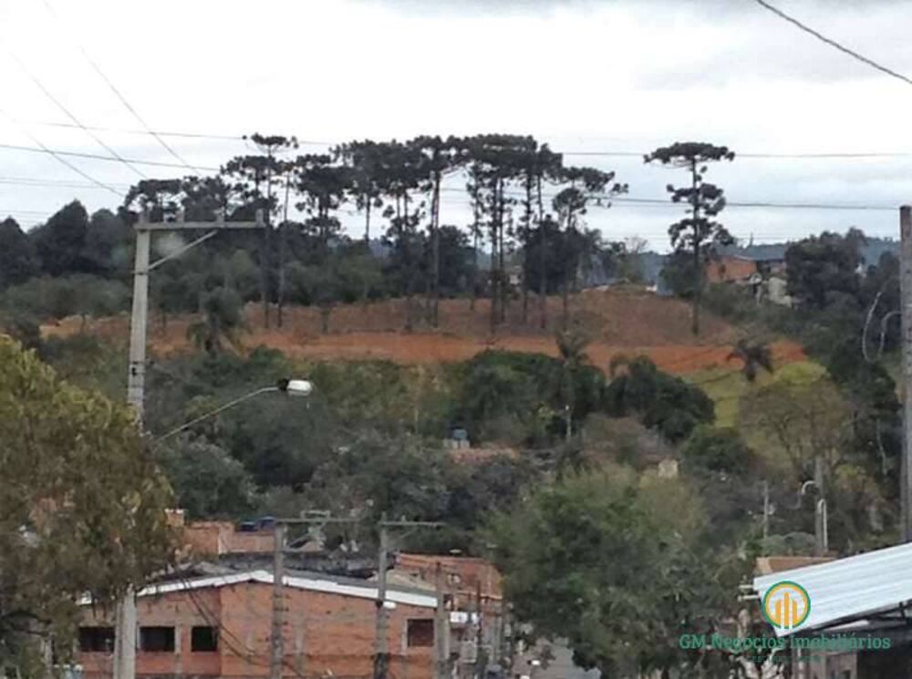 Terreno, 2742 m² - Foto 6
