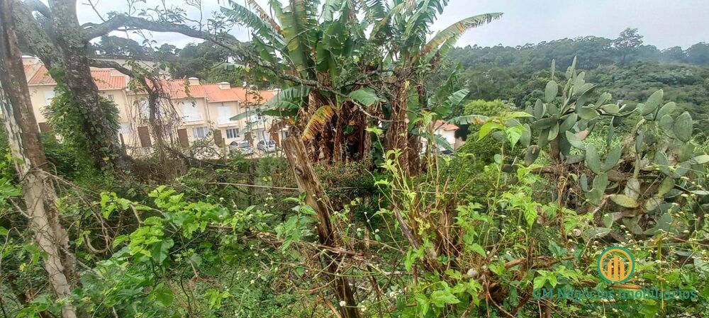 Loteamento e Condomínio, 3596 m² - Foto 4