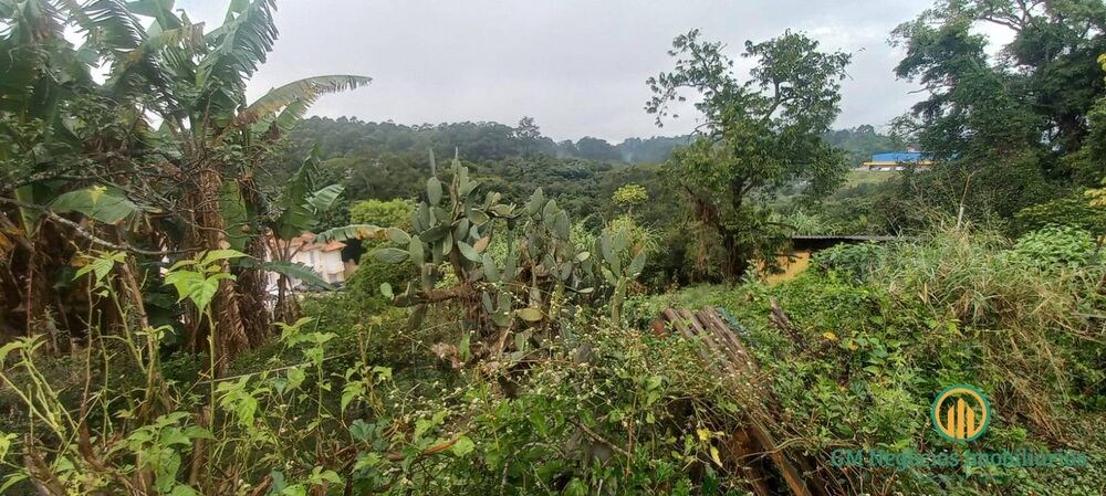 Loteamento e Condomínio, 3596 m² - Foto 3