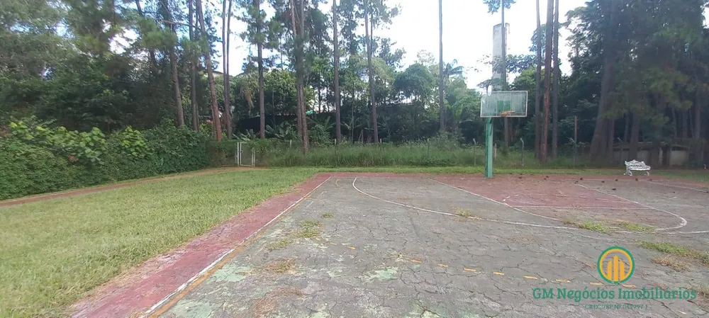 Terreno, 4 hectares - Foto 11