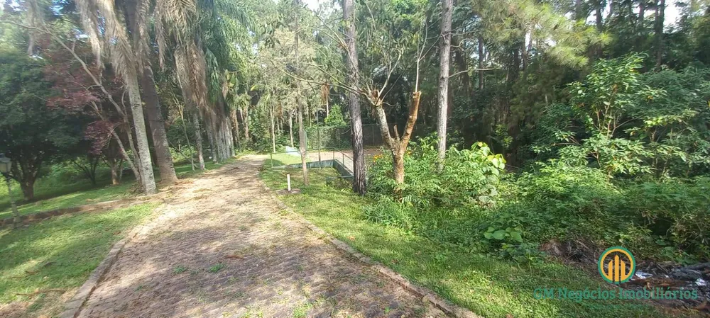 Terreno, 4 hectares - Foto 4