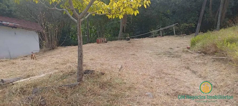 Terreno, 21 hectares - Foto 6