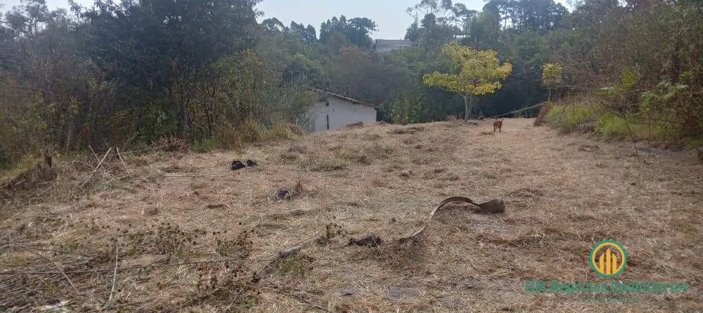 Terreno, 21 hectares - Foto 3