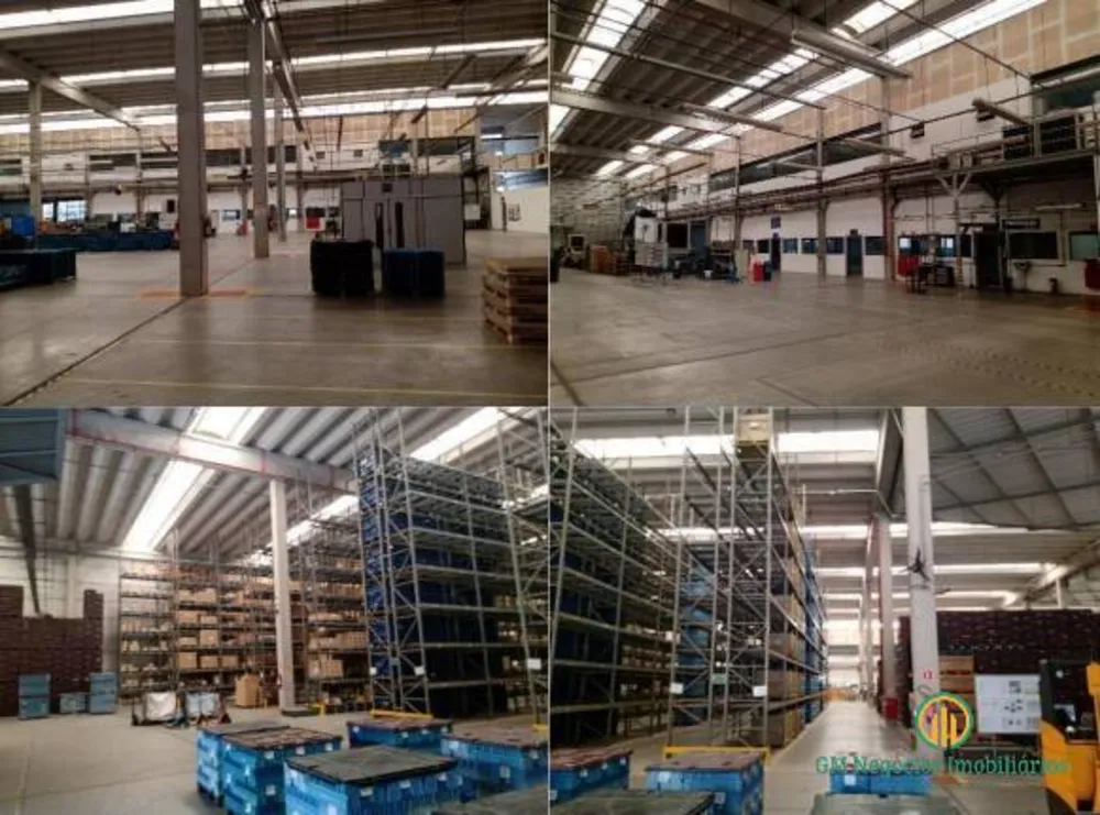 Depósito-Galpão, 7251 m² - Foto 4