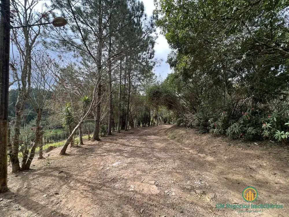 Terreno, 2 hectares - Foto 8