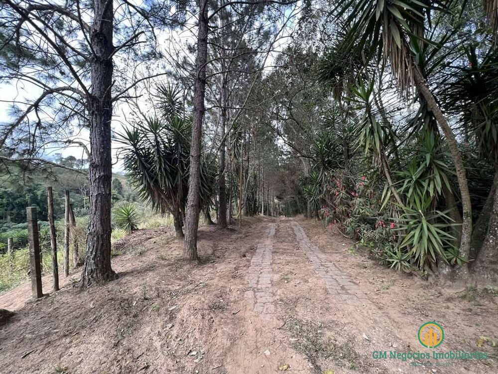 Terreno, 2 hectares - Foto 2