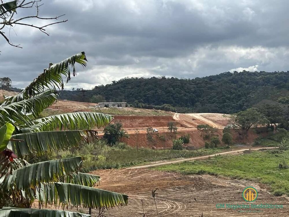 Terreno, 2 hectares - Foto 4