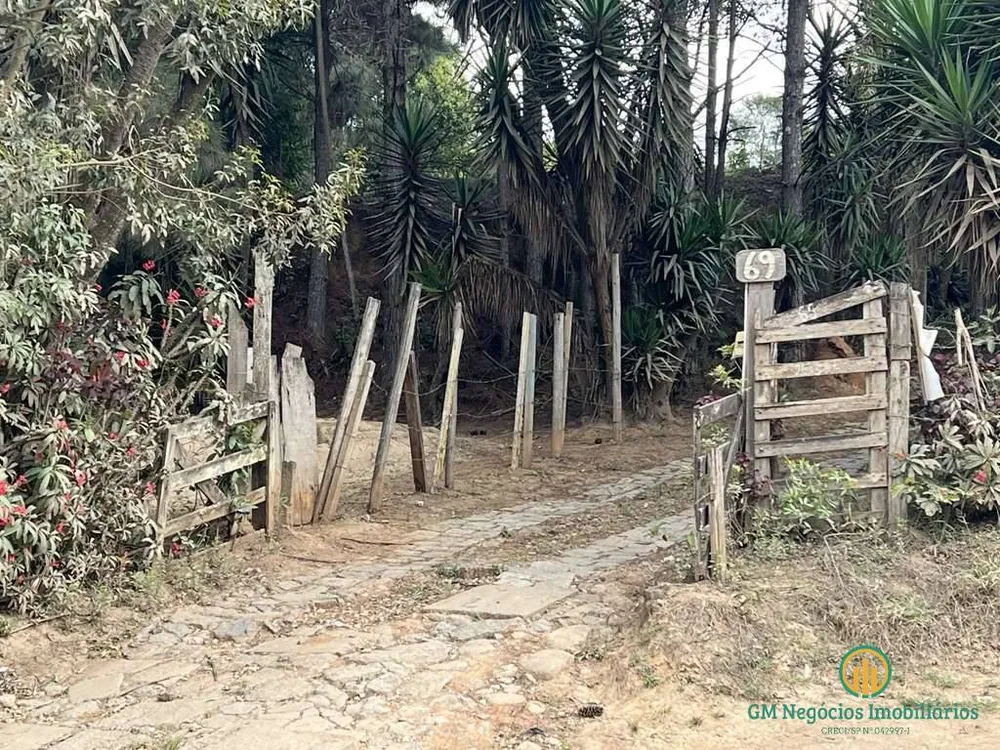 Terreno, 2 hectares - Foto 7