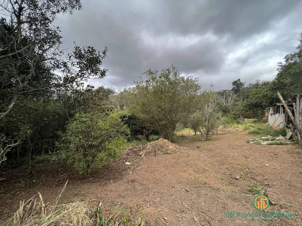 Terreno, 2 hectares - Foto 7
