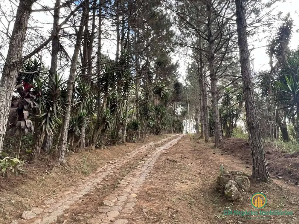 Terreno, 2 hectares - Foto 15