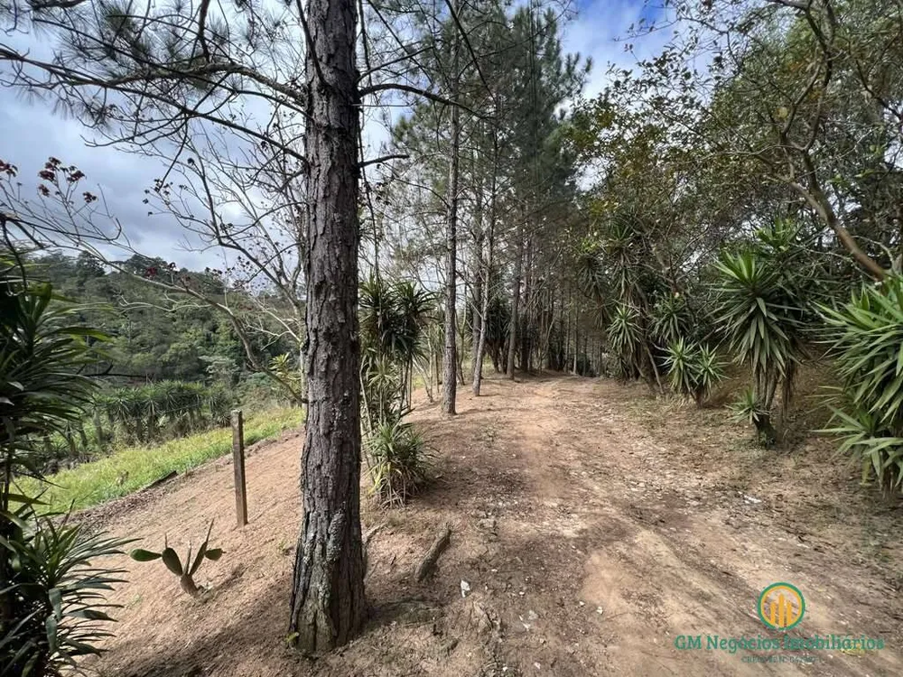 Terreno, 2 hectares - Foto 14