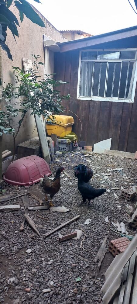 Terreno à venda, 190m² - Foto 15