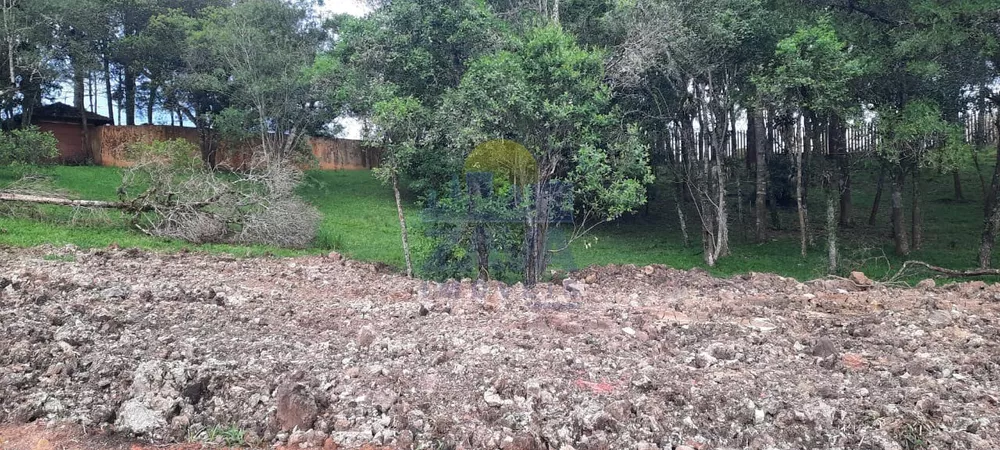 Terreno à venda, 1000m² - Foto 5