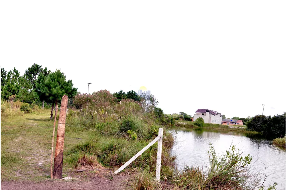 Haras e Área Rural Padrão à venda, 300000m² - Foto 3