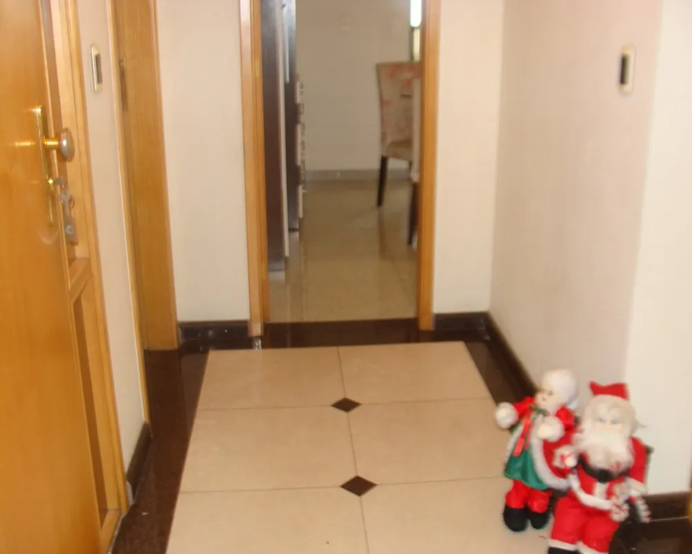 Apartamento, 3 quartos, 250 m² - Foto 3