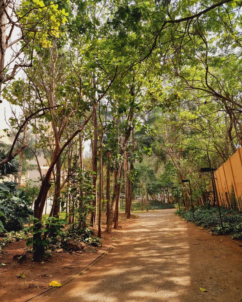 Cobertura, 3 quartos, 164 m² - Foto 8