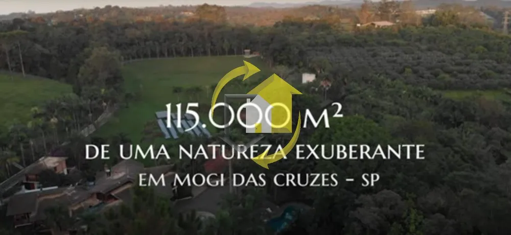 Sítio, 23 quartos, 12 hectares - Foto 4