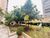 Apartamento, 3 quartos, 88 m² - Foto 4