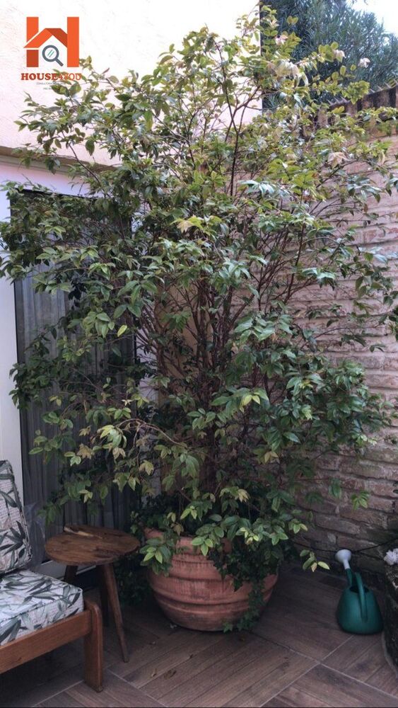 Casa, 3 quartos, 169 m² - Foto 15