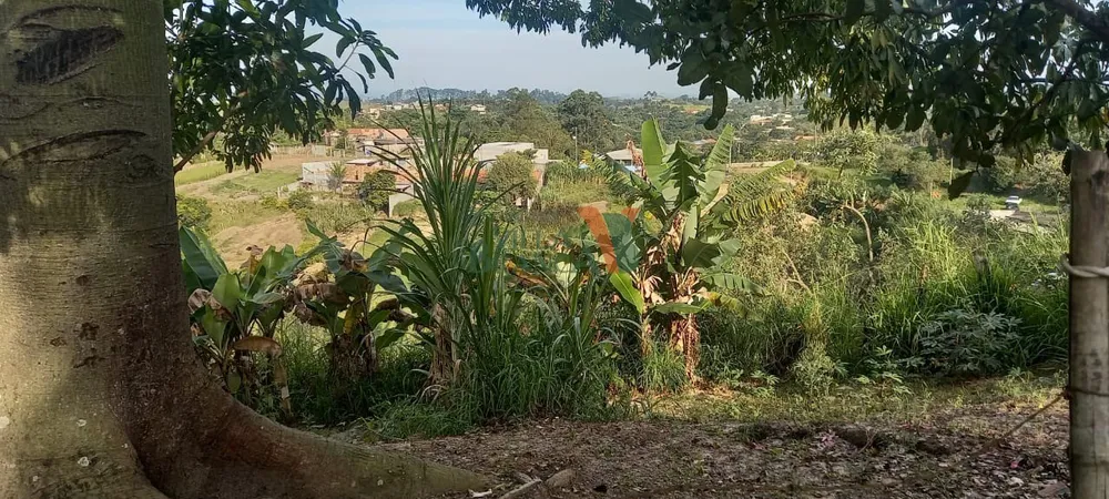 Terreno - Foto 2