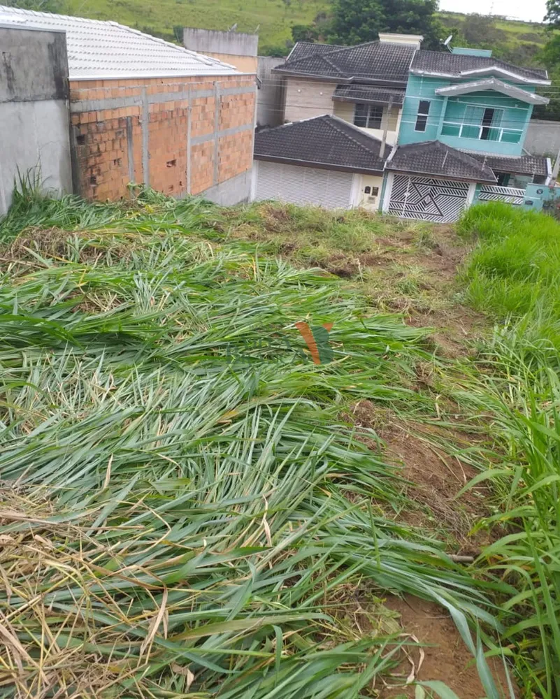 Terreno - Foto 1