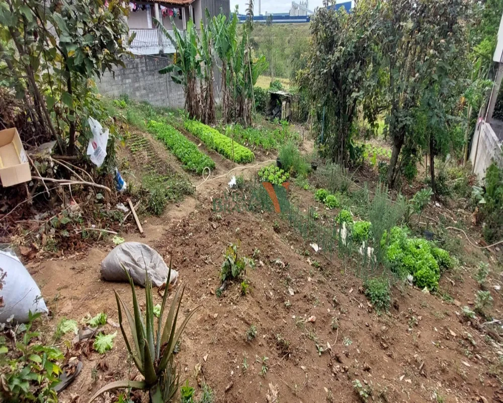 Terreno - Foto 2