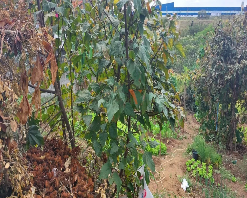 Terreno - Foto 4