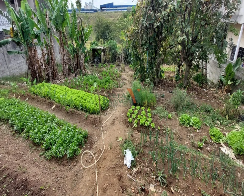 Terreno - Foto 3