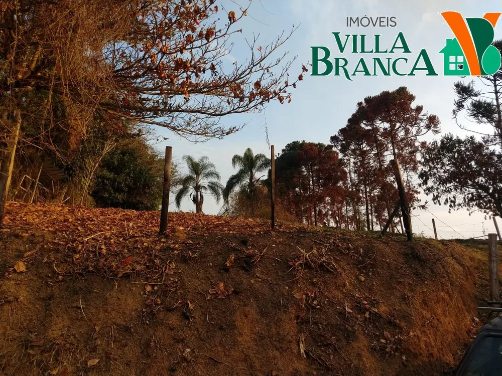 Terreno - Foto 2