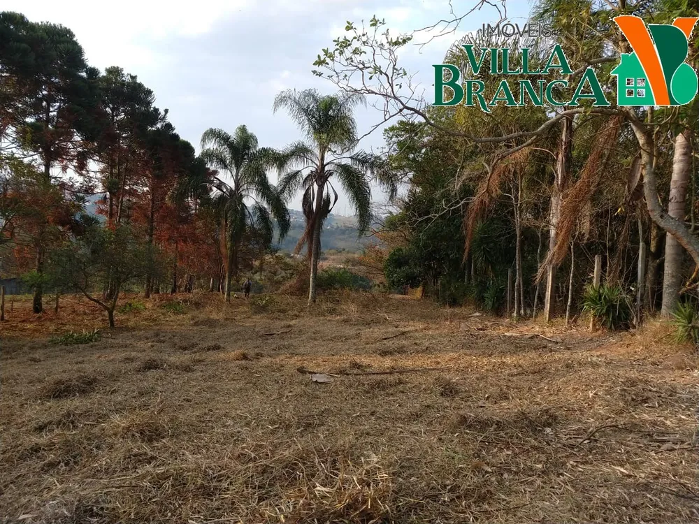 Terreno - Foto 4