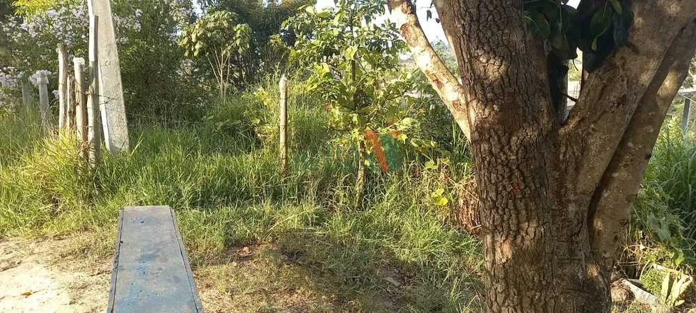 Terreno - Foto 1