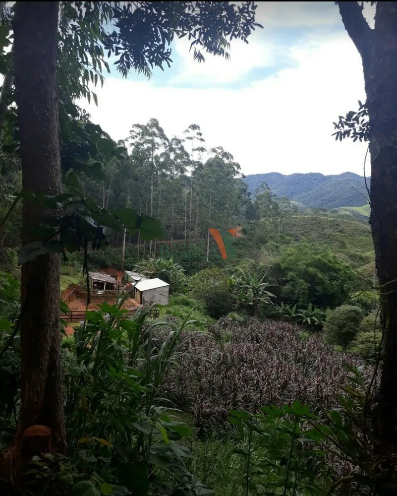 Sítio, 2 quartos - Foto 1
