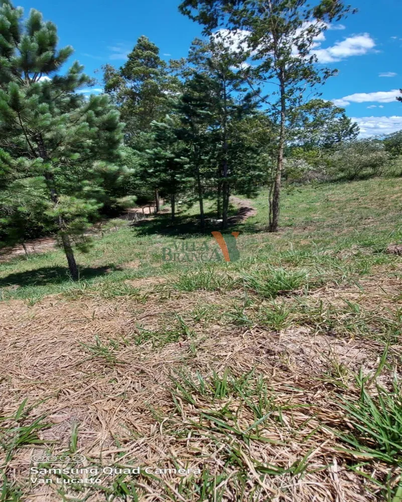 Terreno - Foto 1