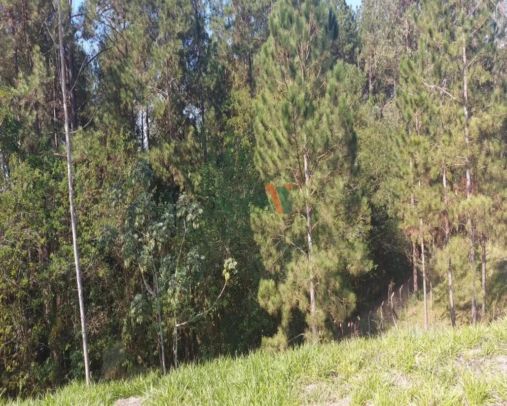 Terreno - Foto 3